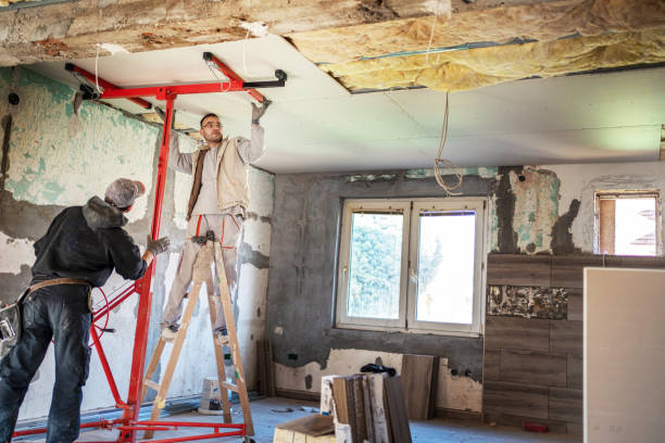 Best Insulation Installation Services in Island Lake, IL
