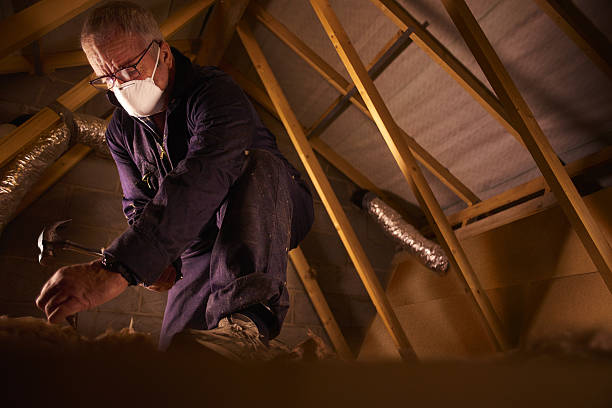 Best Types of Insulation in Island Lake, IL